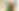 Quod-Fest-14.jpg