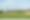 Golf_day_17_10.jpg