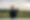 Golf_day_17_19.jpg