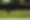 Golf_day_17_6.jpg