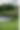 Golf_day_17_85.jpg